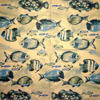 141 Fische - 3-lagig - USA